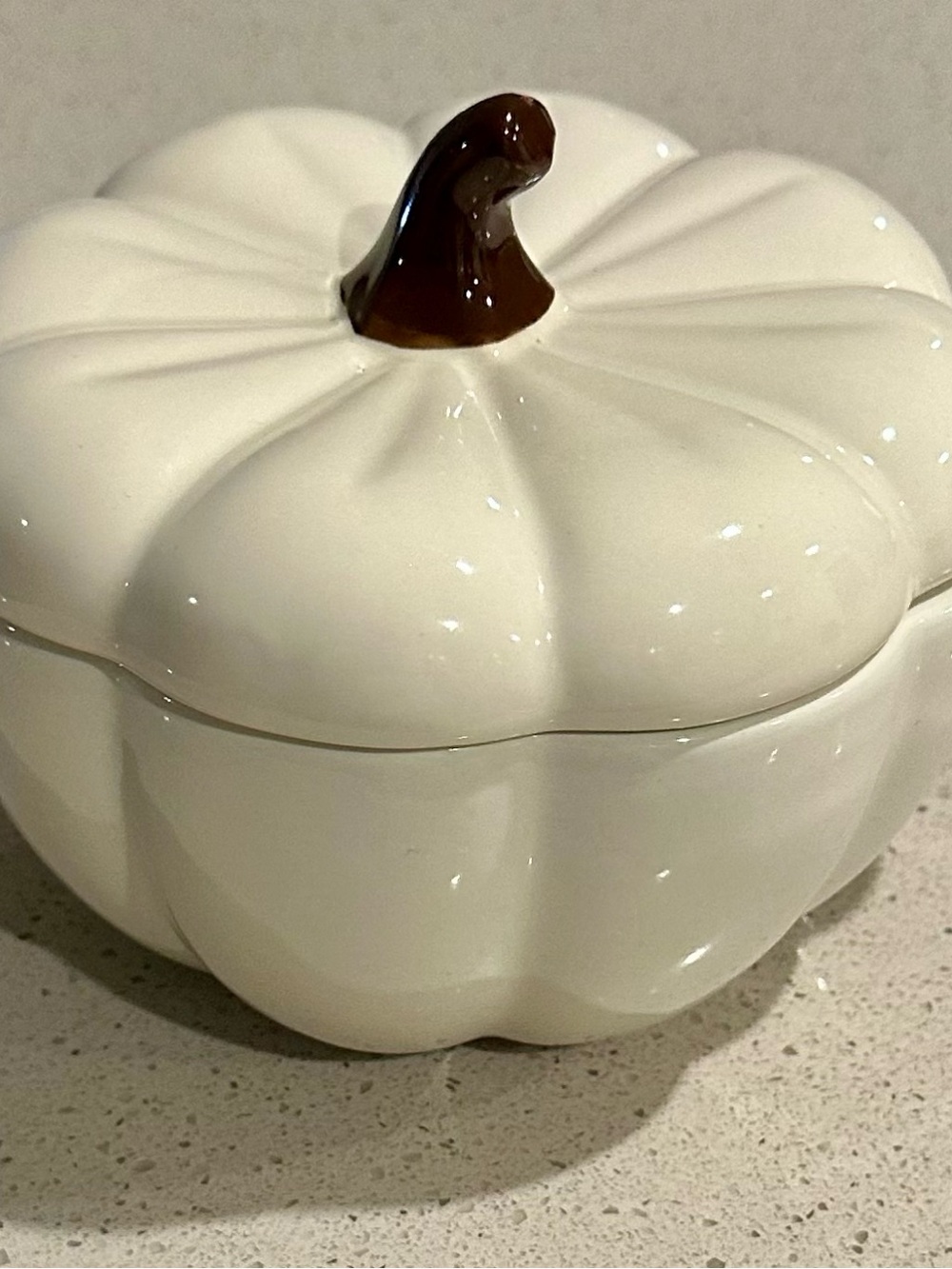 Ceramic White Pumpkin Decorative Soup Bowl with Lid
